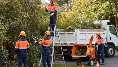 Arbor Tree Care removes overgrown shrubs in Shawnee, OK for a cleaner, safer yard