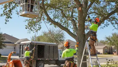 Tree pruning service in Shawnee, OK for healthy trees and safer properties