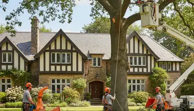 Tree service crew in Shawnee, OK providing professional tree trimming and removal services