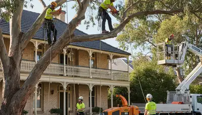 Tree service crew in Shawnee, OK providing professional tree trimming and removal services