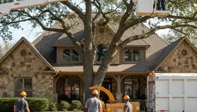 Tree service crew providing tree removal and trimming in Shawnee, OK