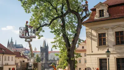 Tree service crew in Shawnee, OK providing professional tree trimming and removal services