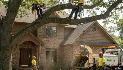 Tree service crew in Shawnee, OK providing professional tree trimming and removal services