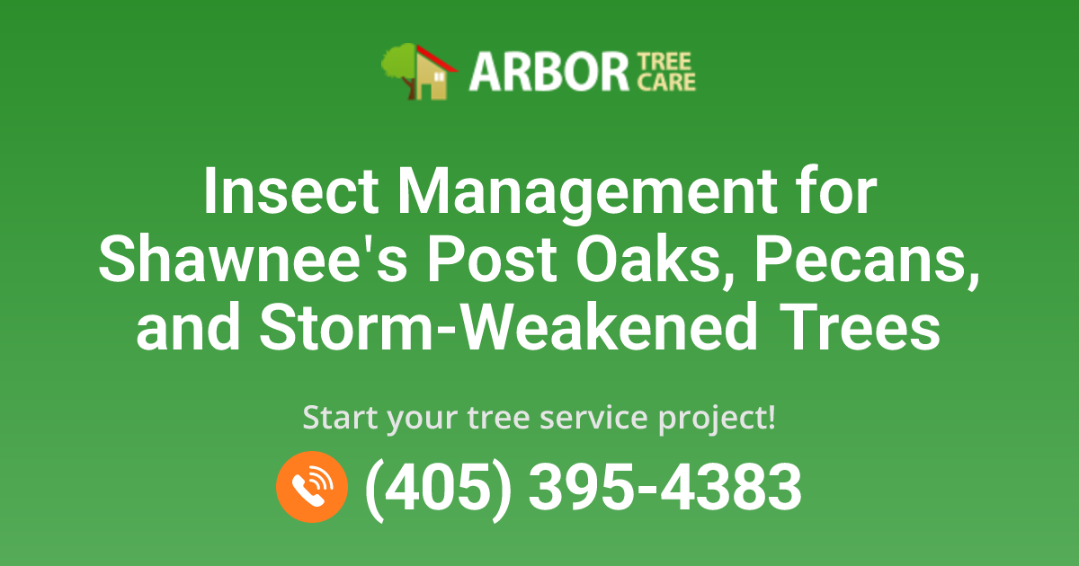 Shawnee Insect Shawnee, OK Insect Management | Arbor Tree Care
