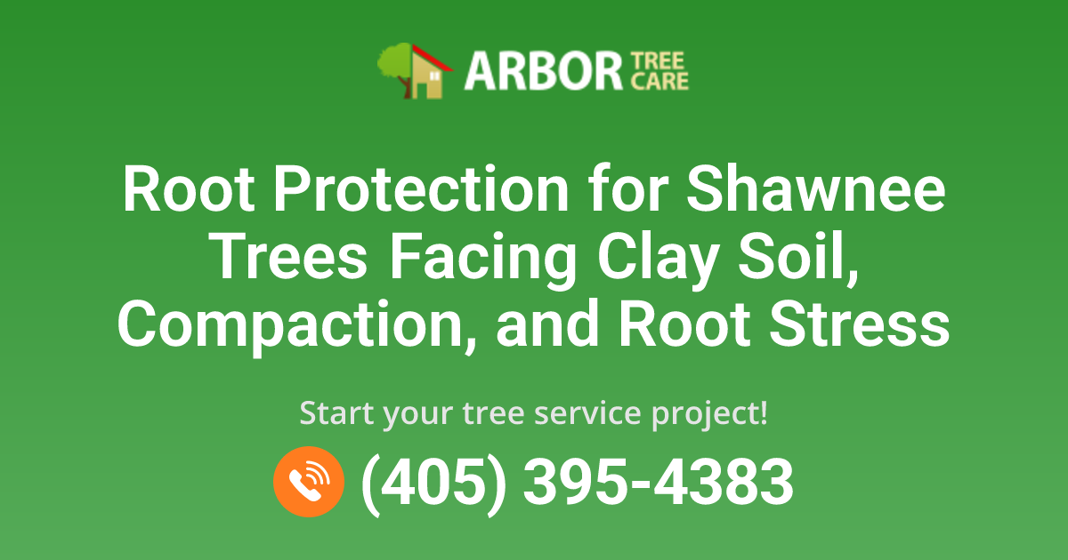 Root Protection Services in Shawnee, OK | Arbor Tree Care