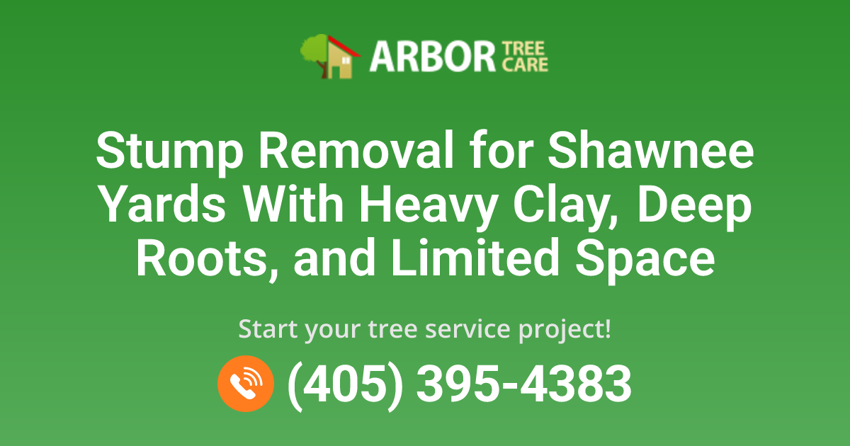 Shawnee, OK Stump Removal Services | Arbor Tree Care