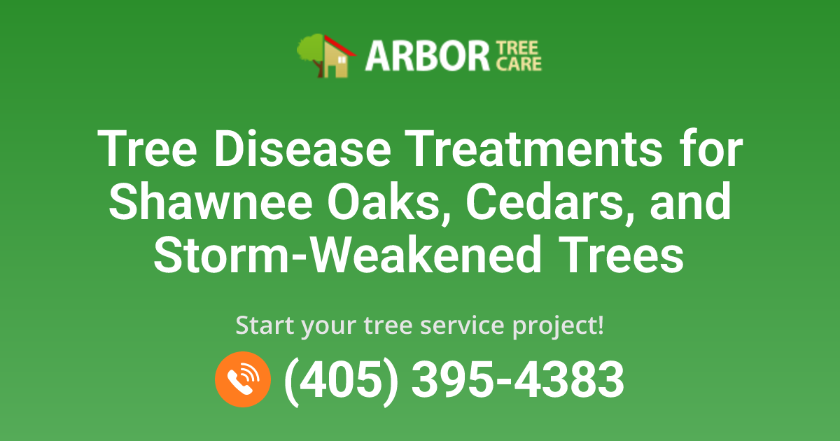 Tree Disease Treatments in Shawnee, OK | Arbor Tree Care