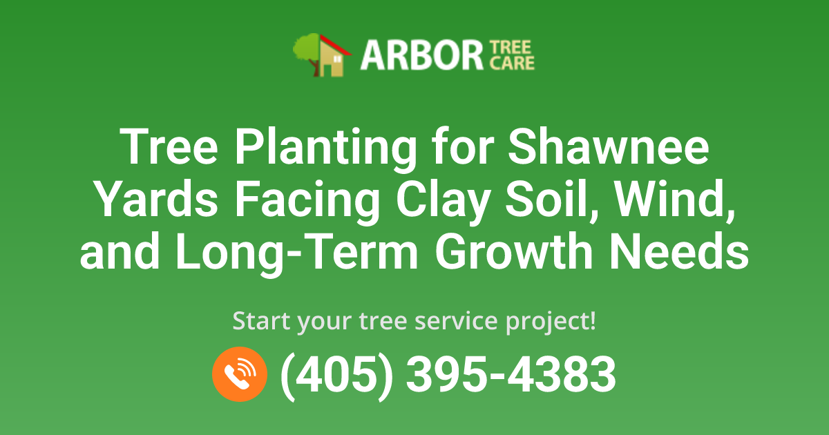 Tree Planting Services in Shawnee, OK | Arbor Tree Care