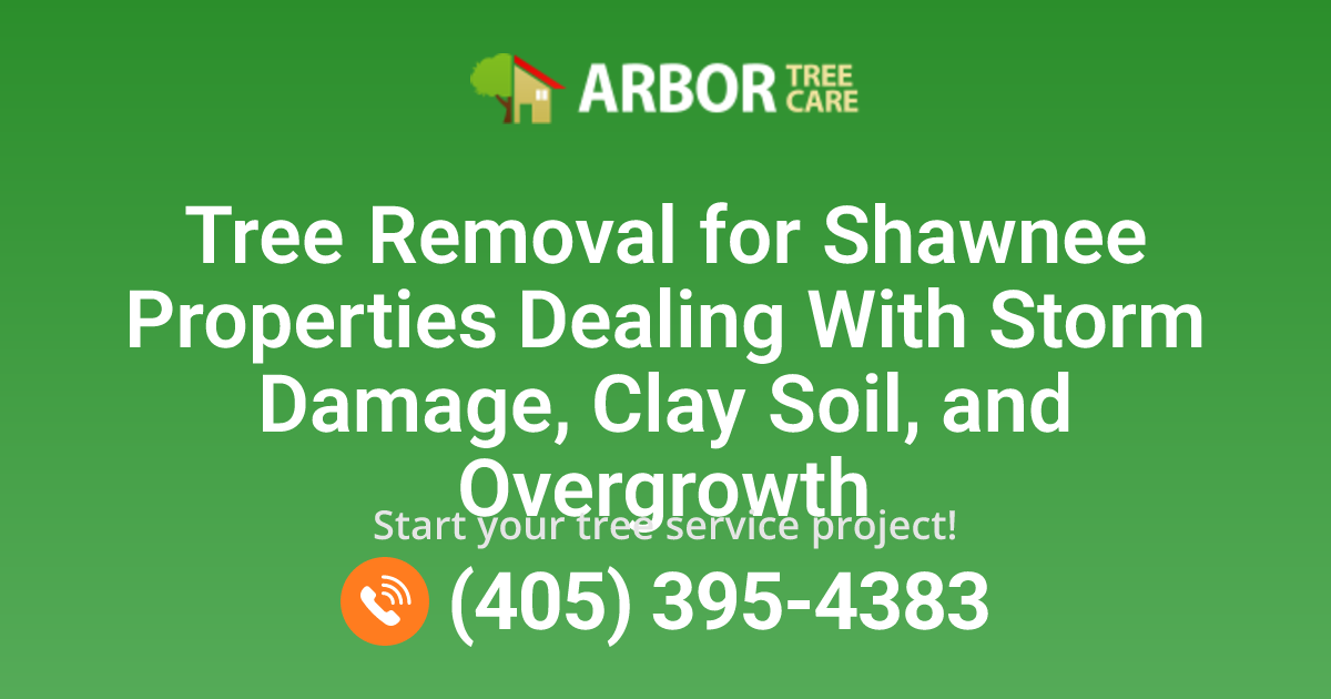 Shawnee, OK Tree Removal Services | Arbor Shawnee Tree Service