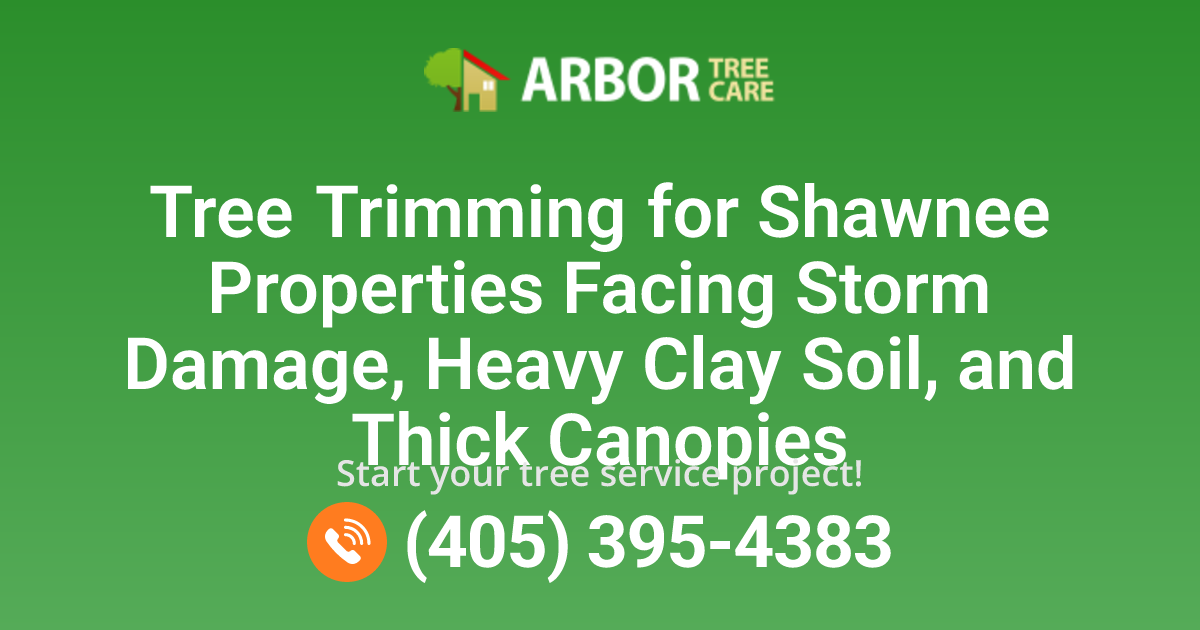 Shawnee, OK Tree Trimming Services | Arbor Tree Care